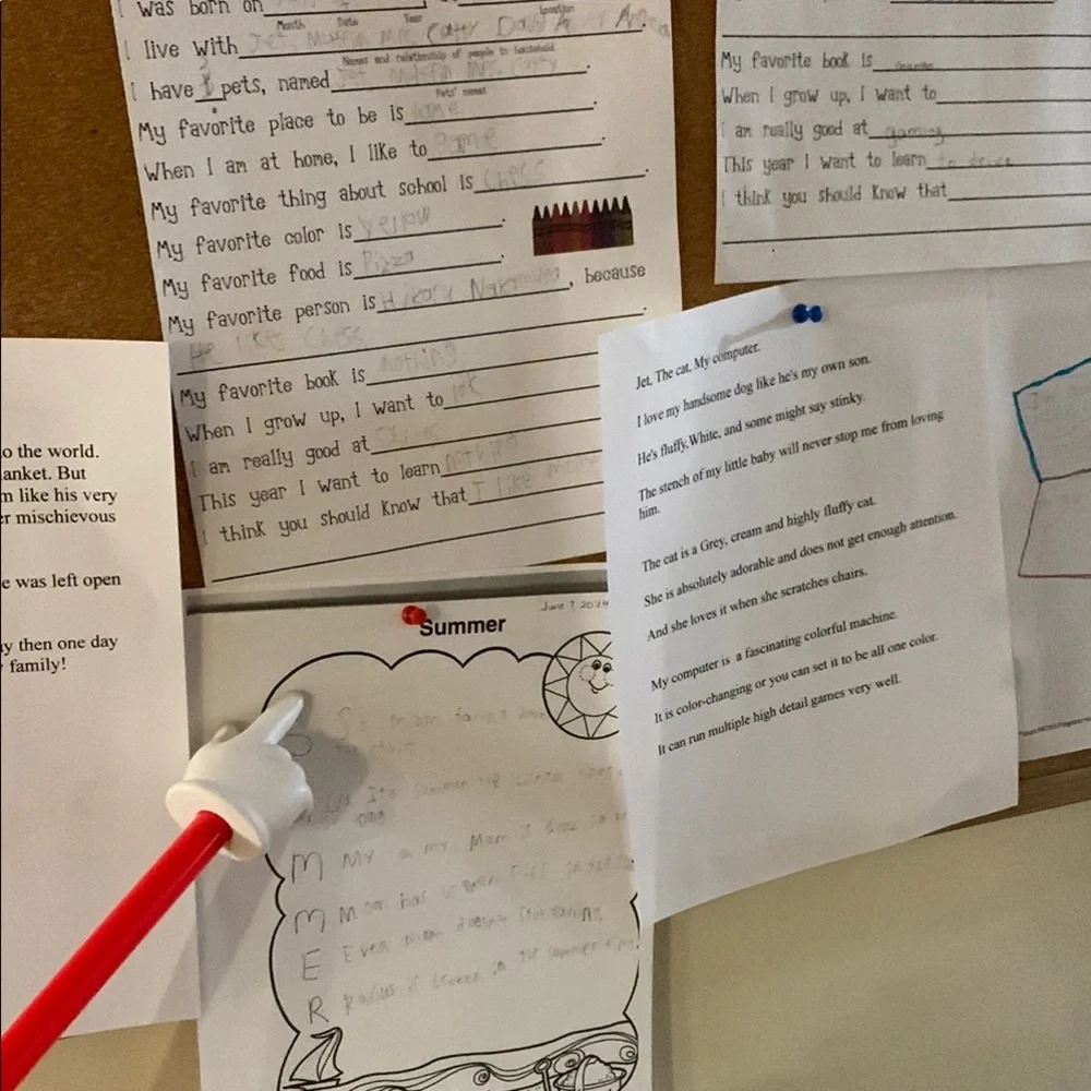 Red Pointer Stick - Picture 11 of 11